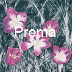 Prema